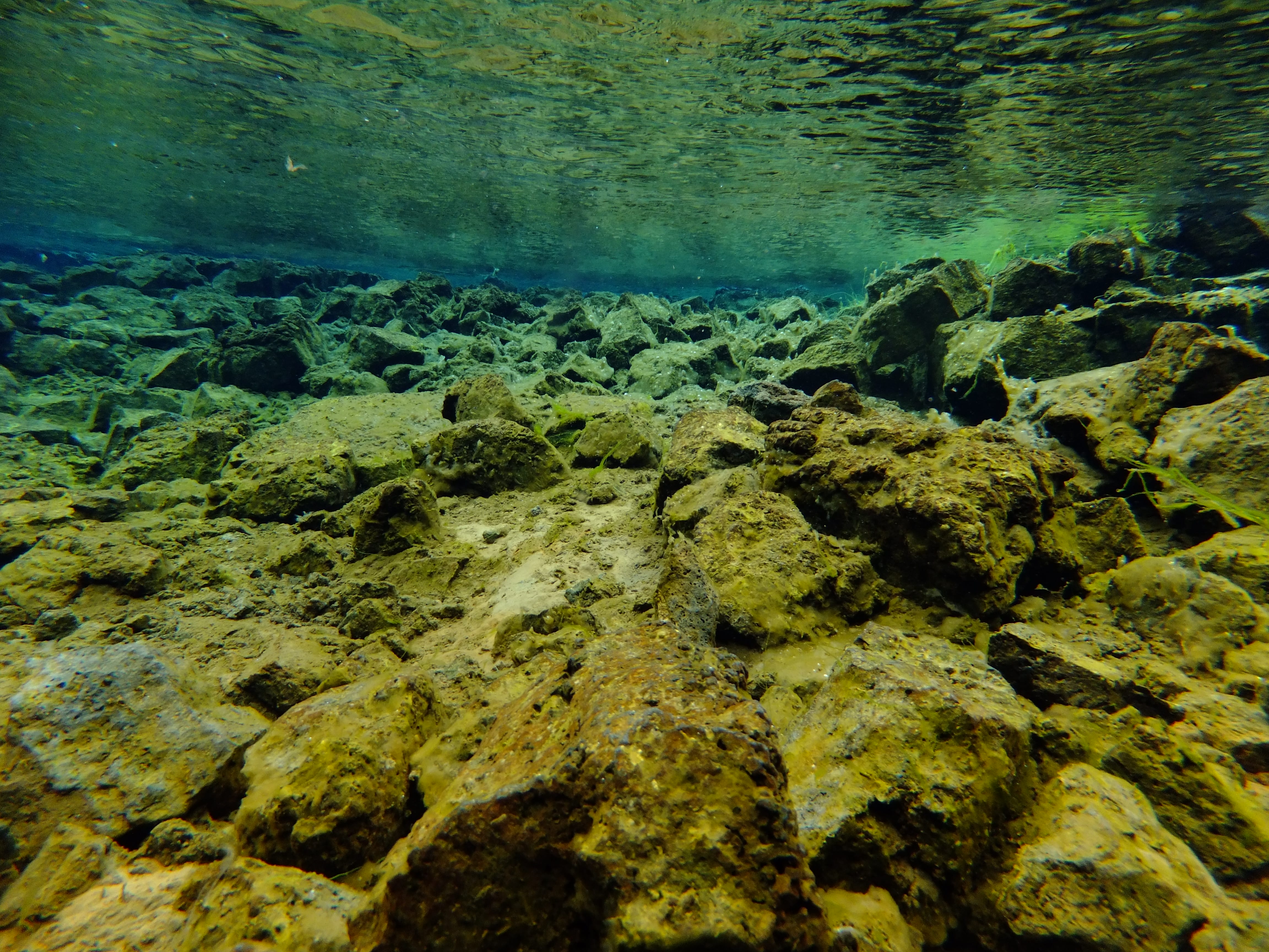 Silfra – Dive 2