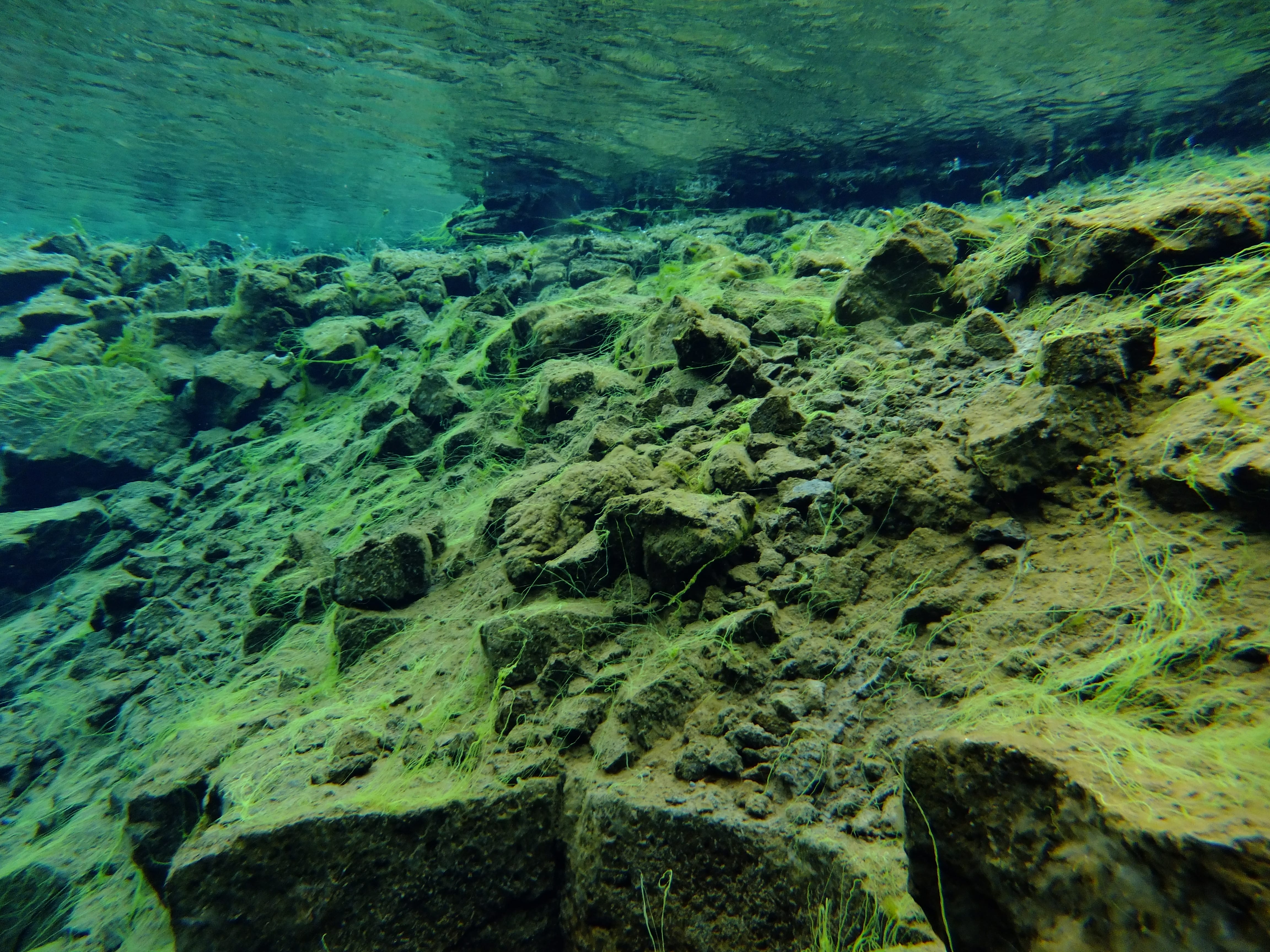 Silfra – Dive 2