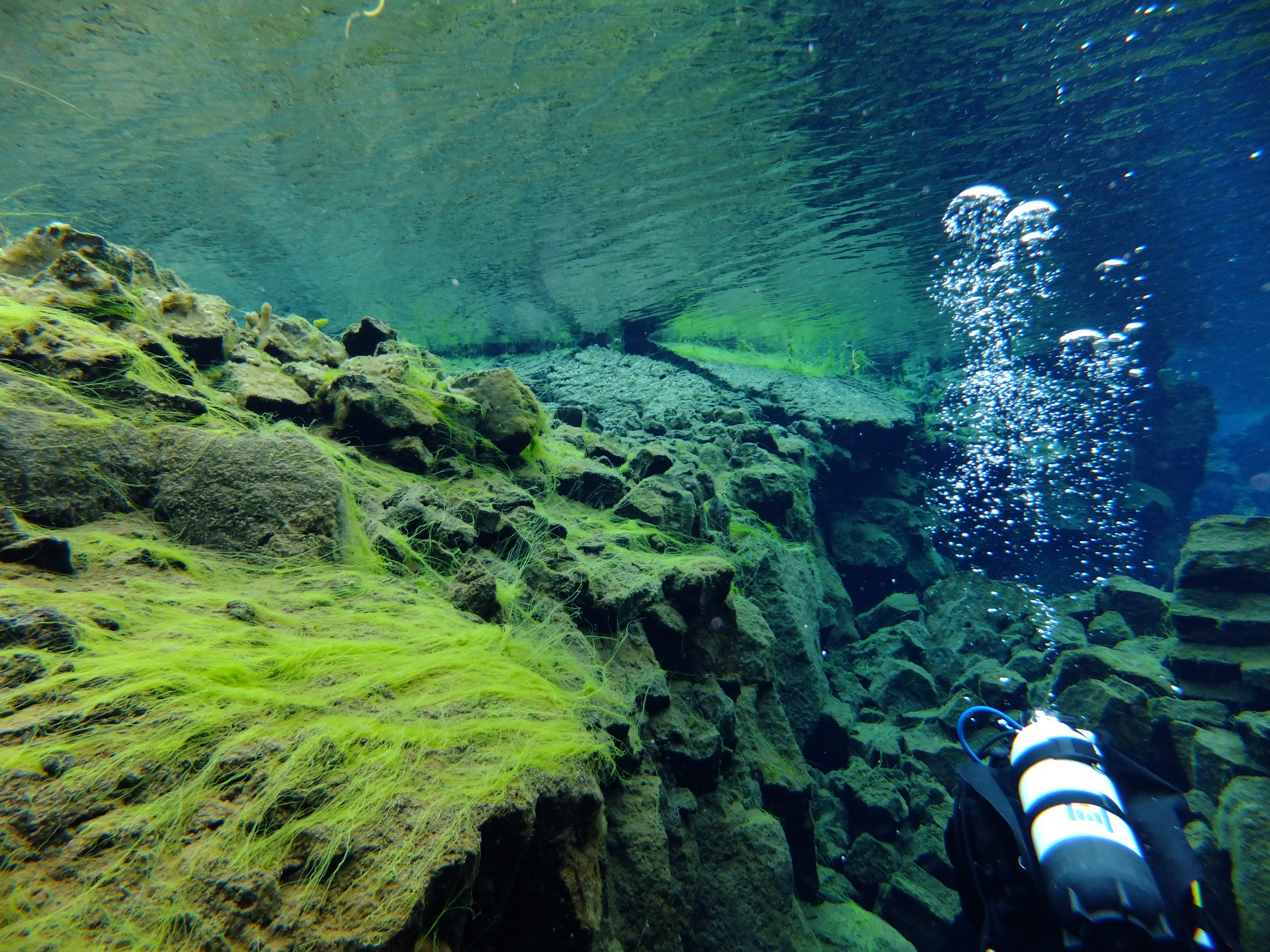 Silfra – Dive 2