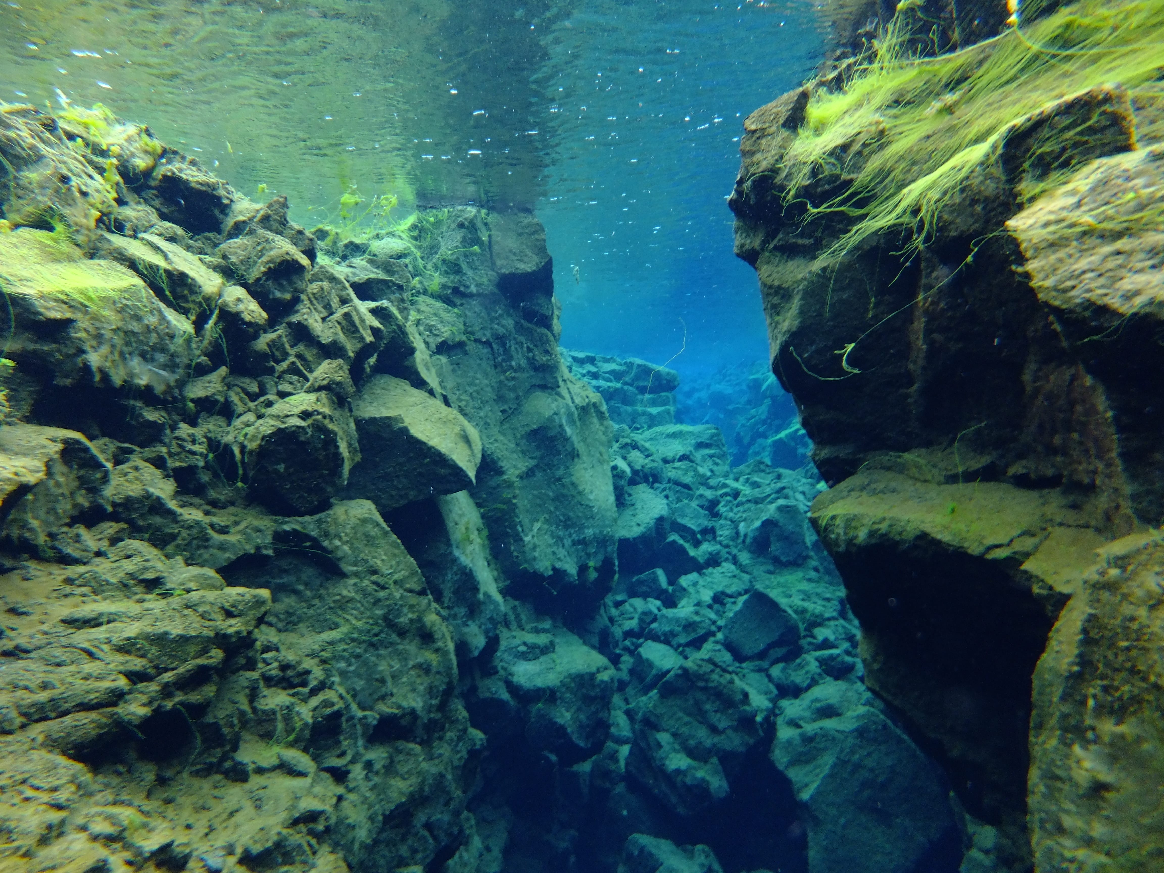 Silfra – Dive 2