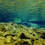 Silfra – Dive 2