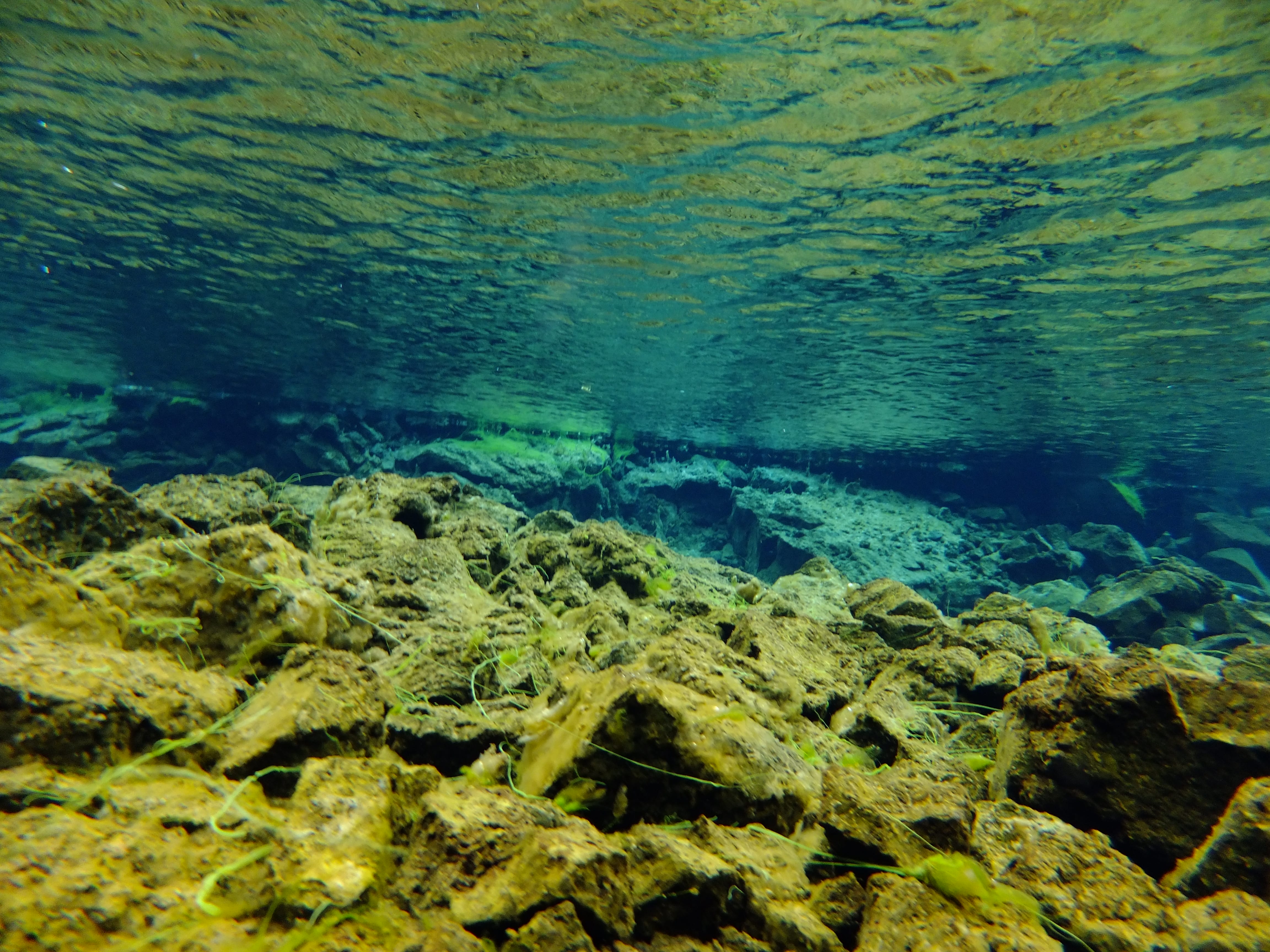 Silfra – Dive 2