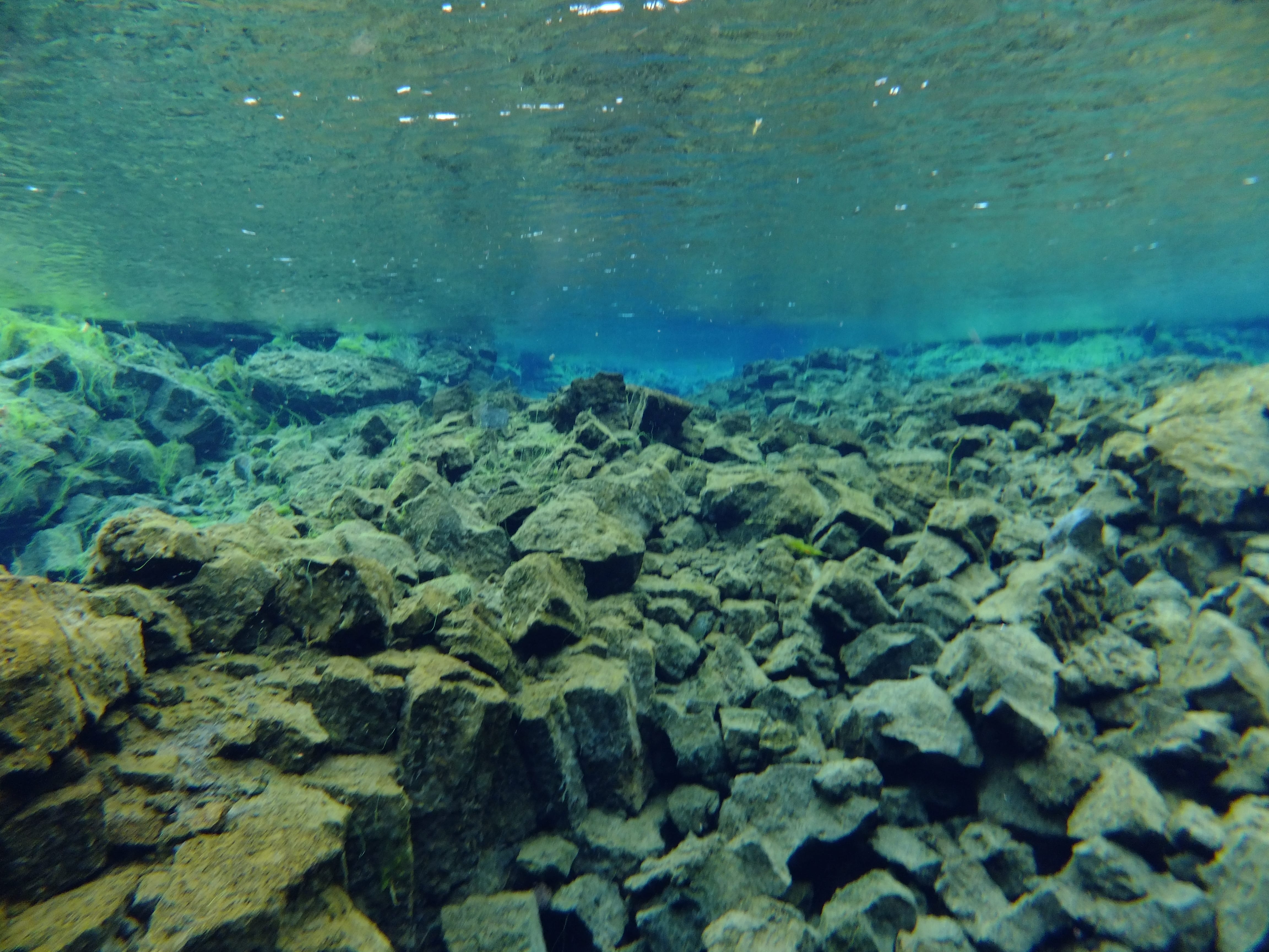 Silfra – Dive 2
