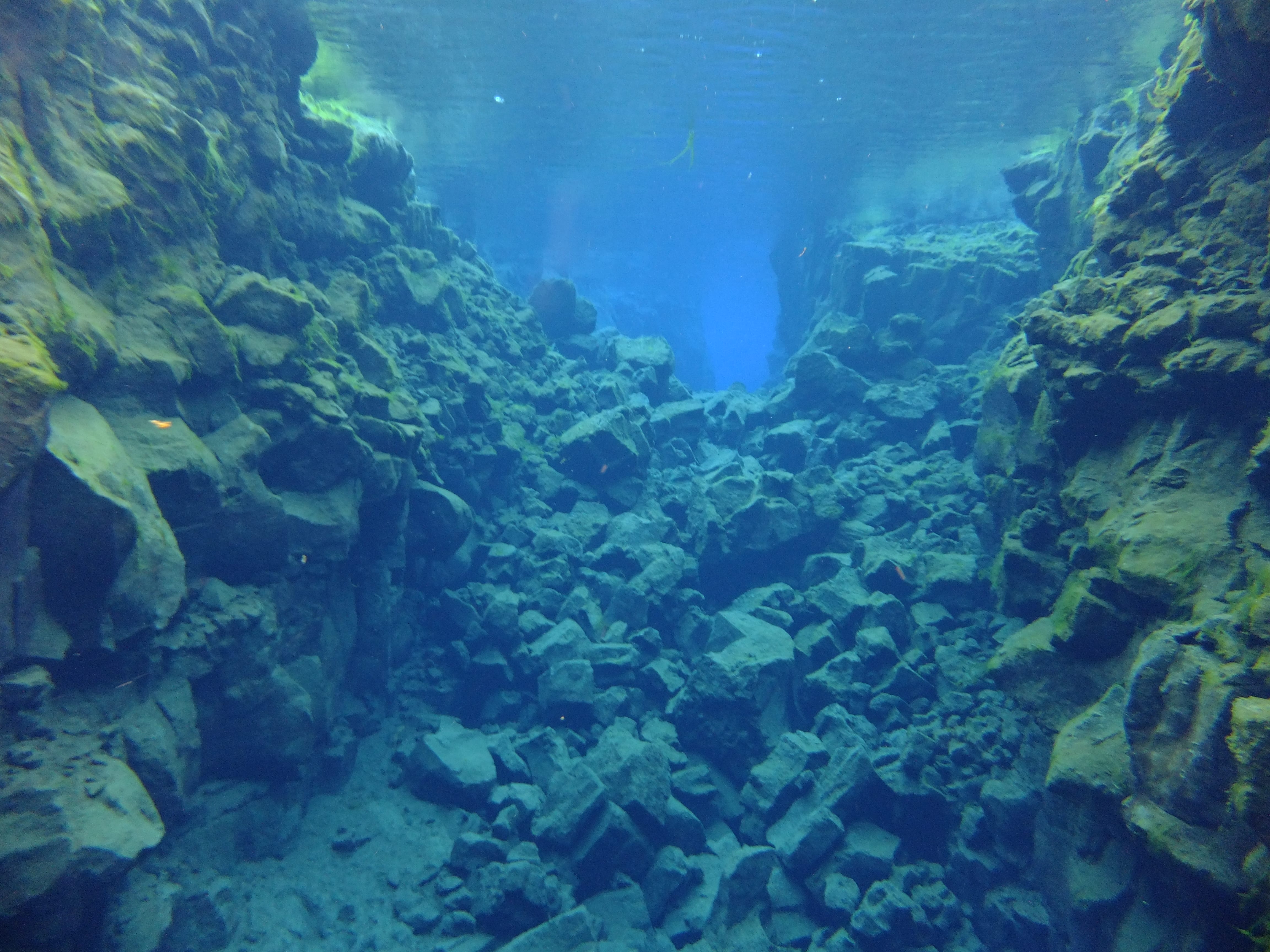 Silfra – Dive 2