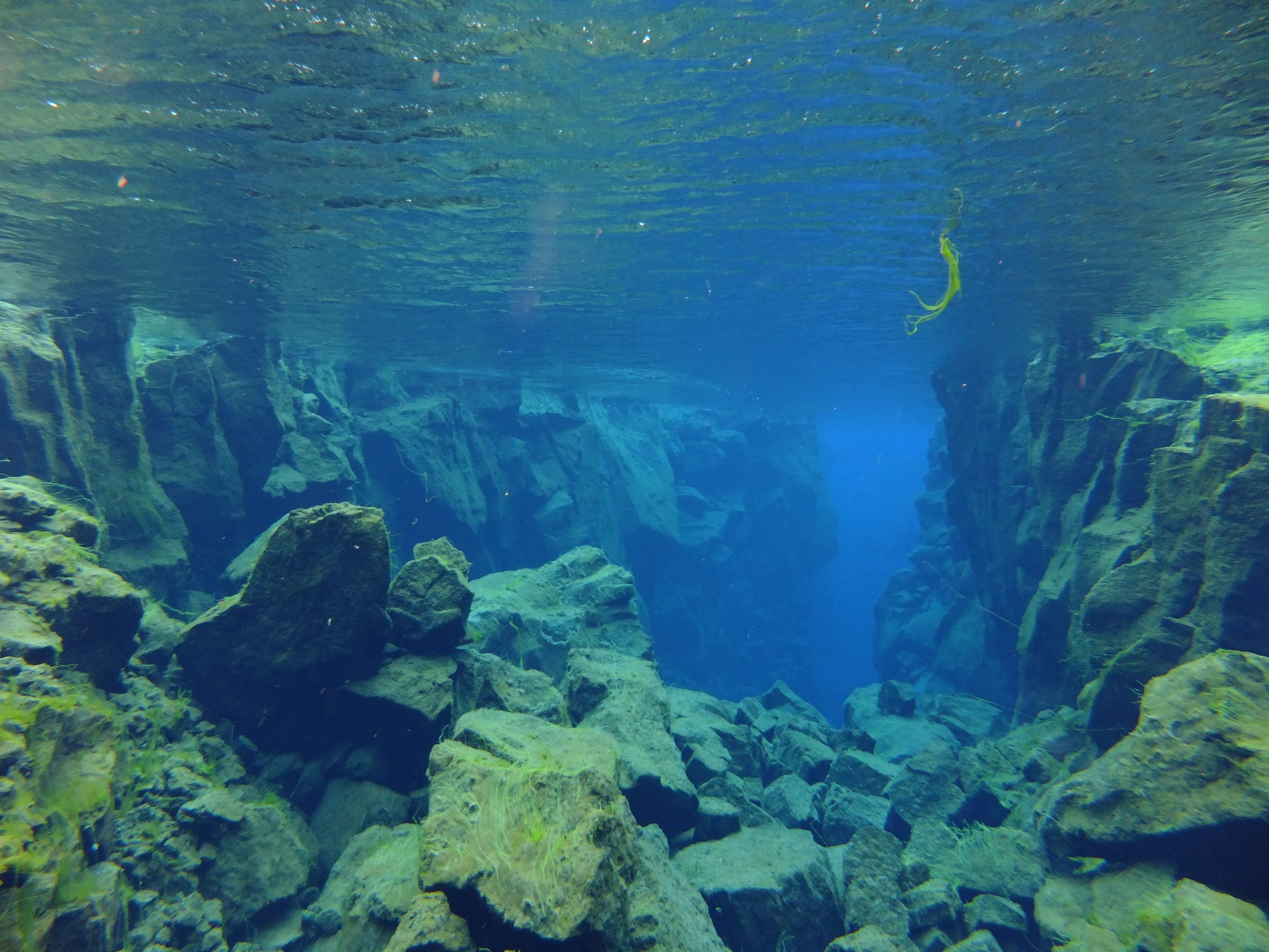 Silfra – Dive 2