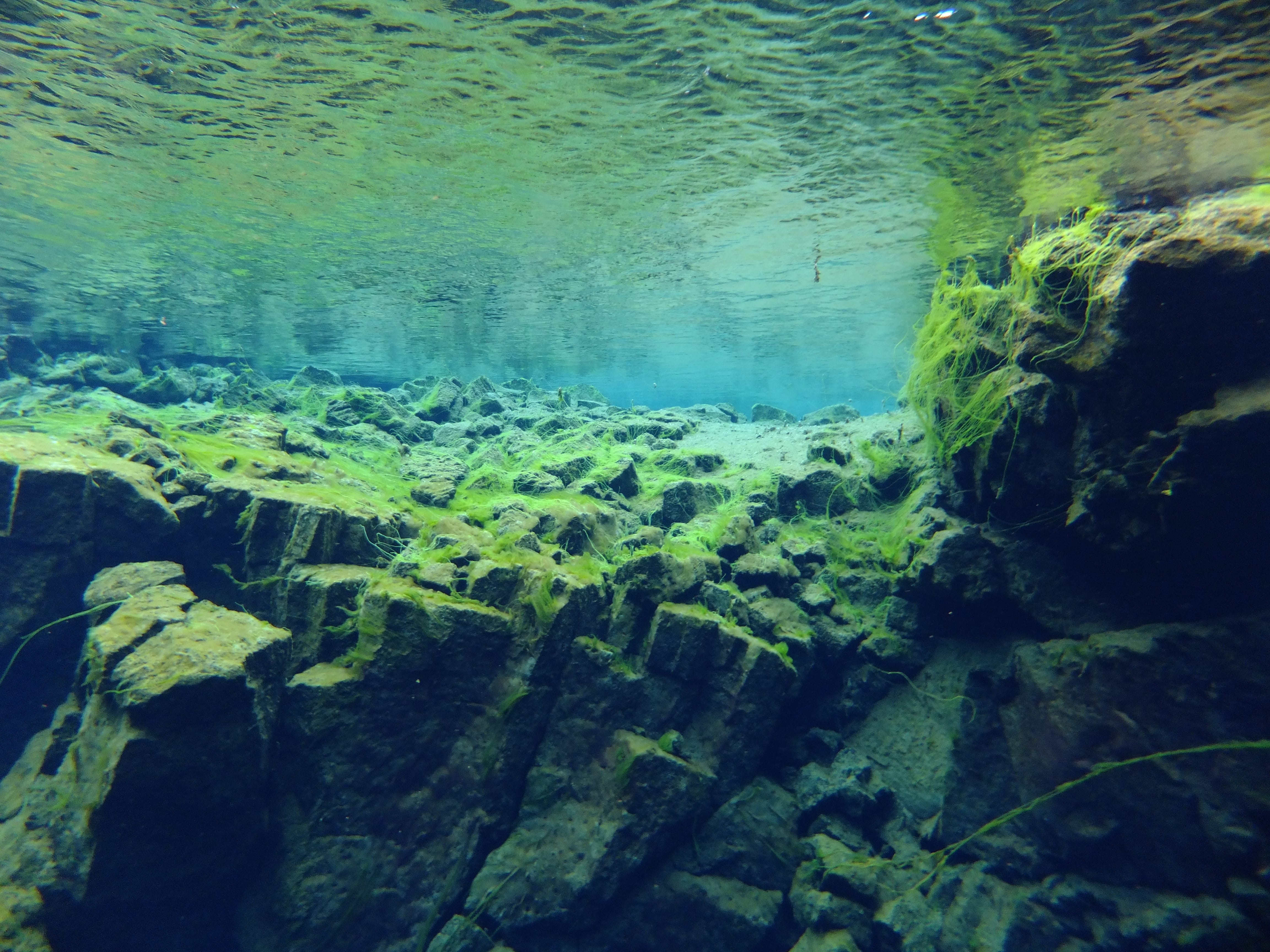 Silfra – Dive 2