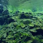 Silfra – Dive 2