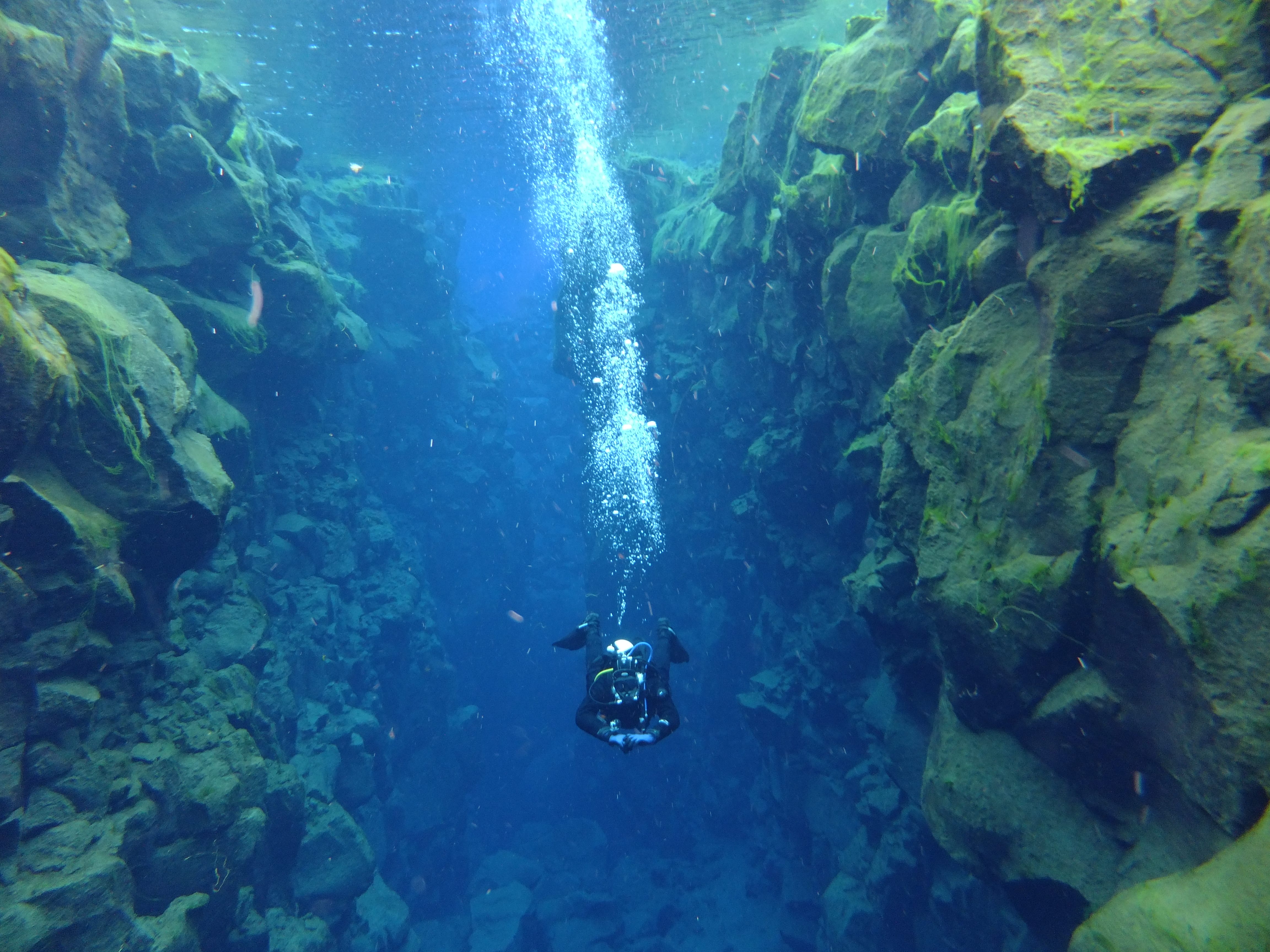 Silfra – Dive 2