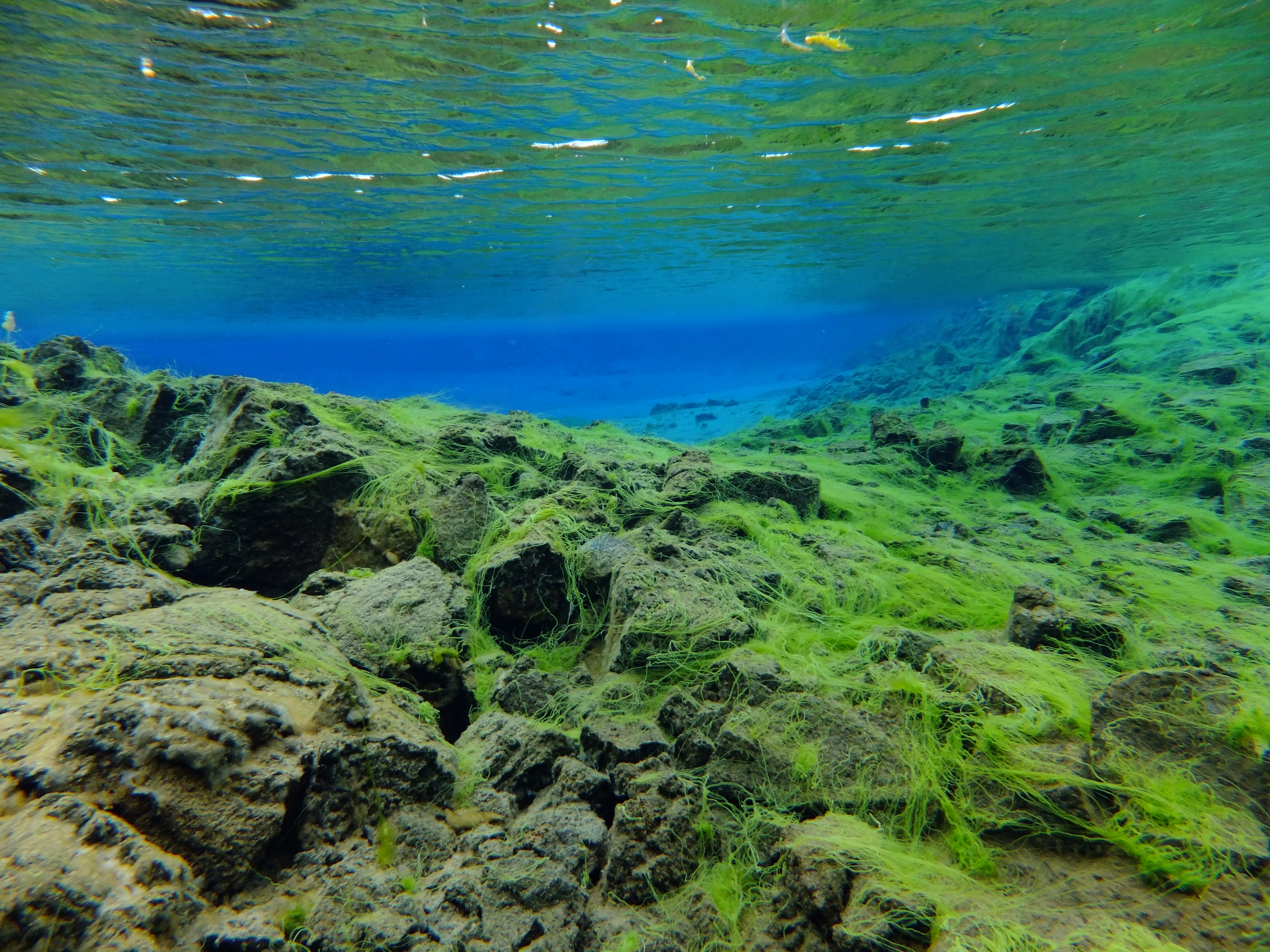 Silfra – Dive 2