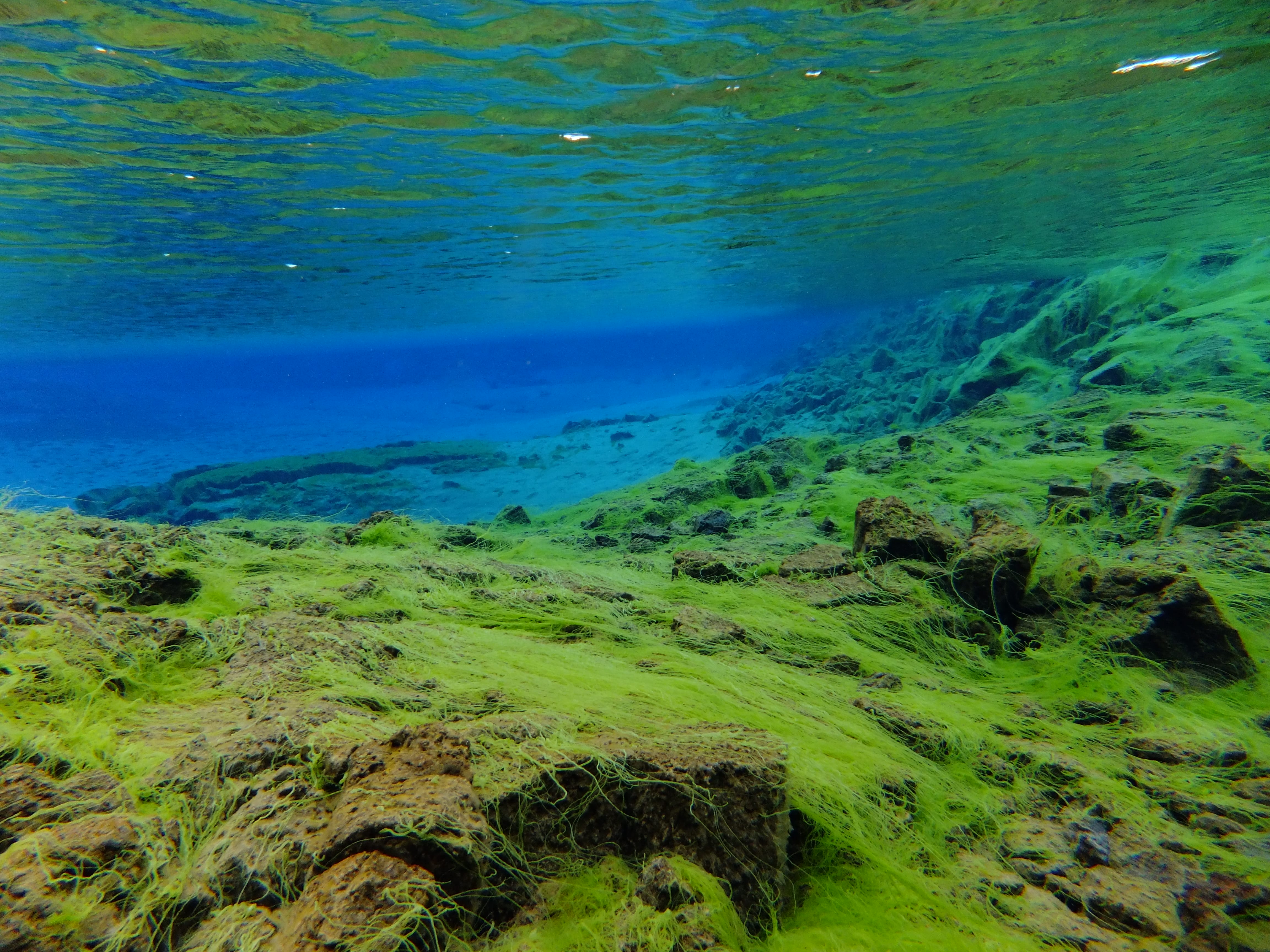 Silfra – Dive 2