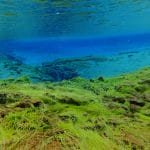 Silfra – Dive 2