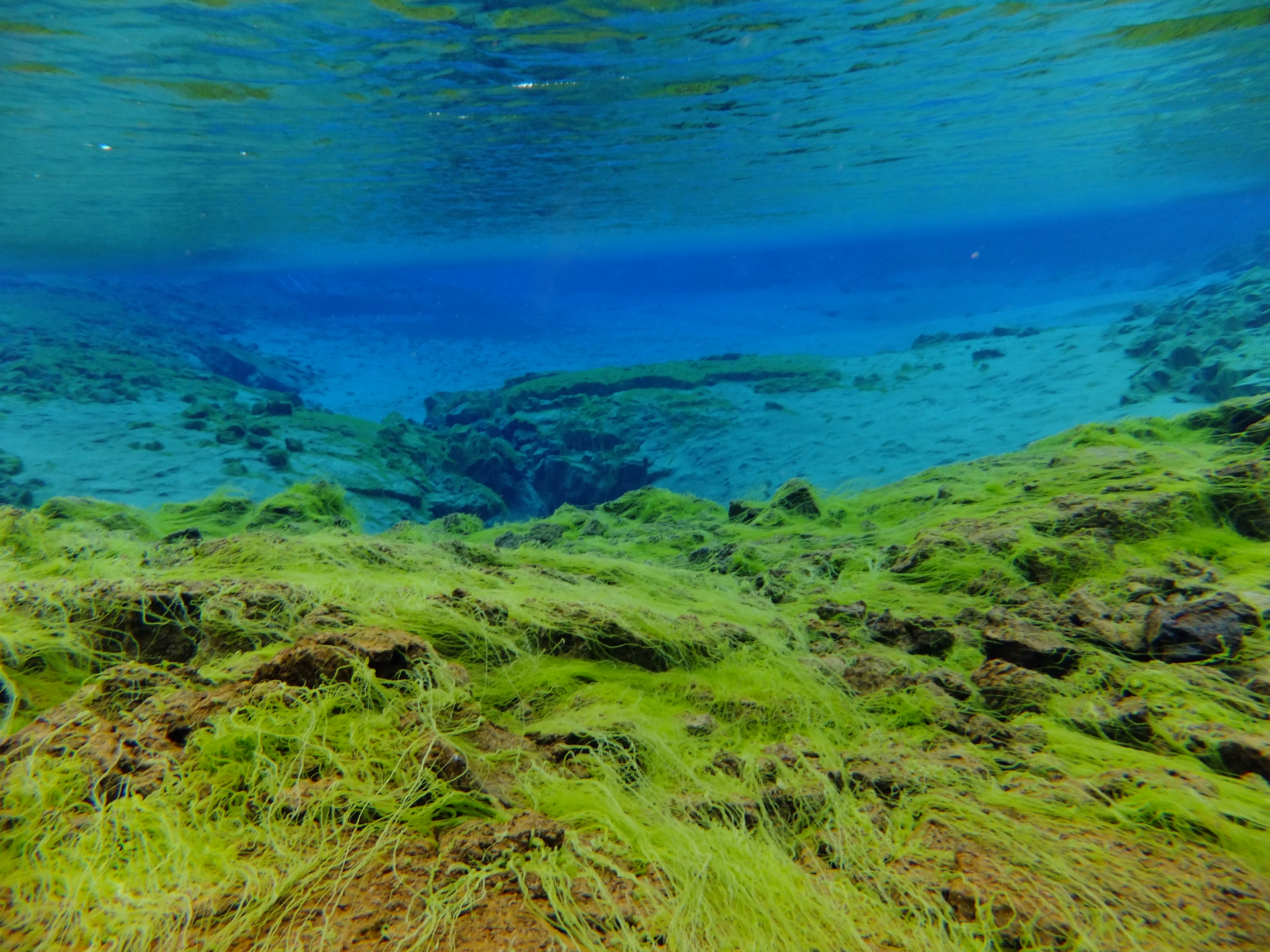 Silfra – Dive 2