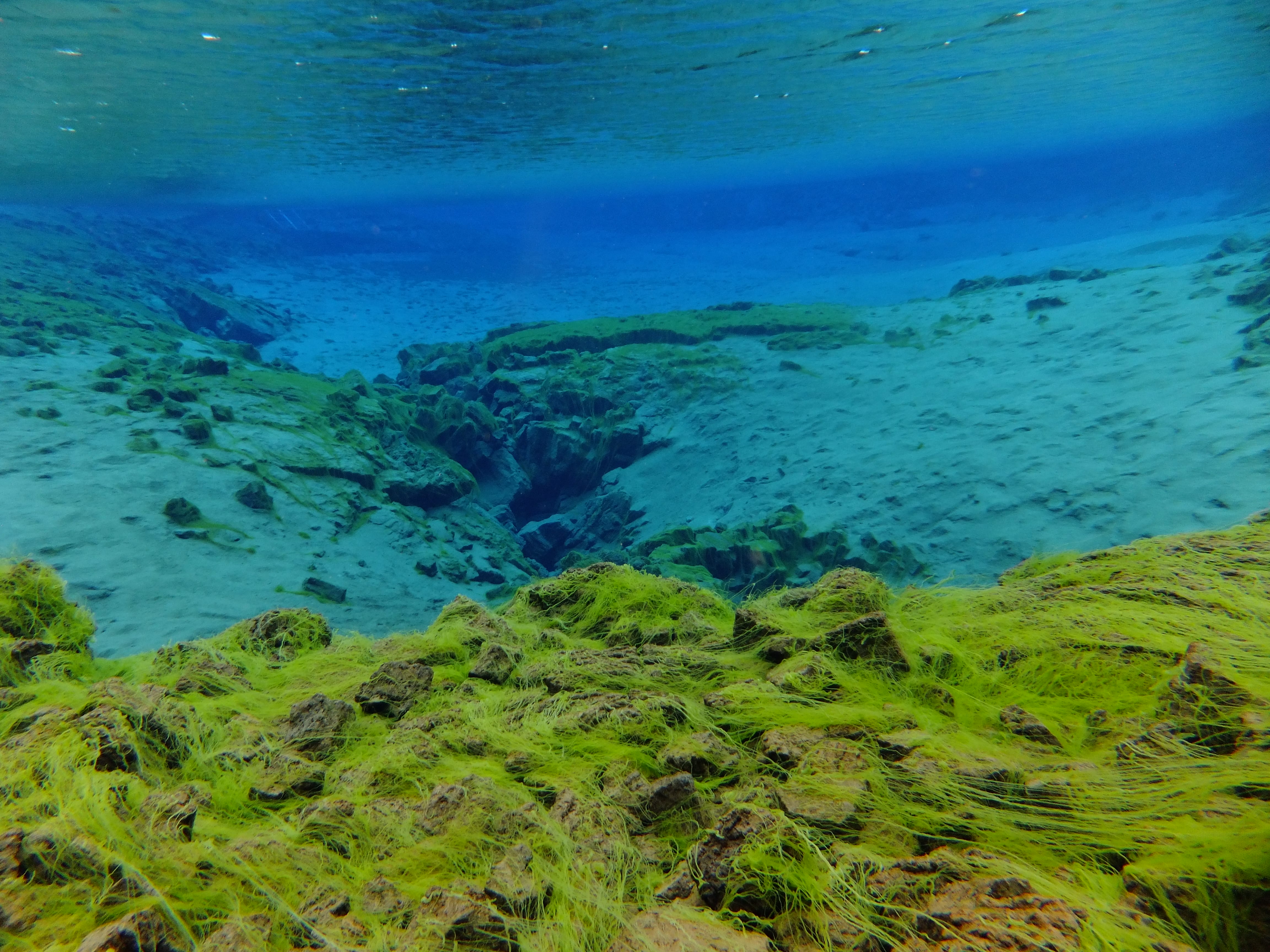 Silfra – Dive 2
