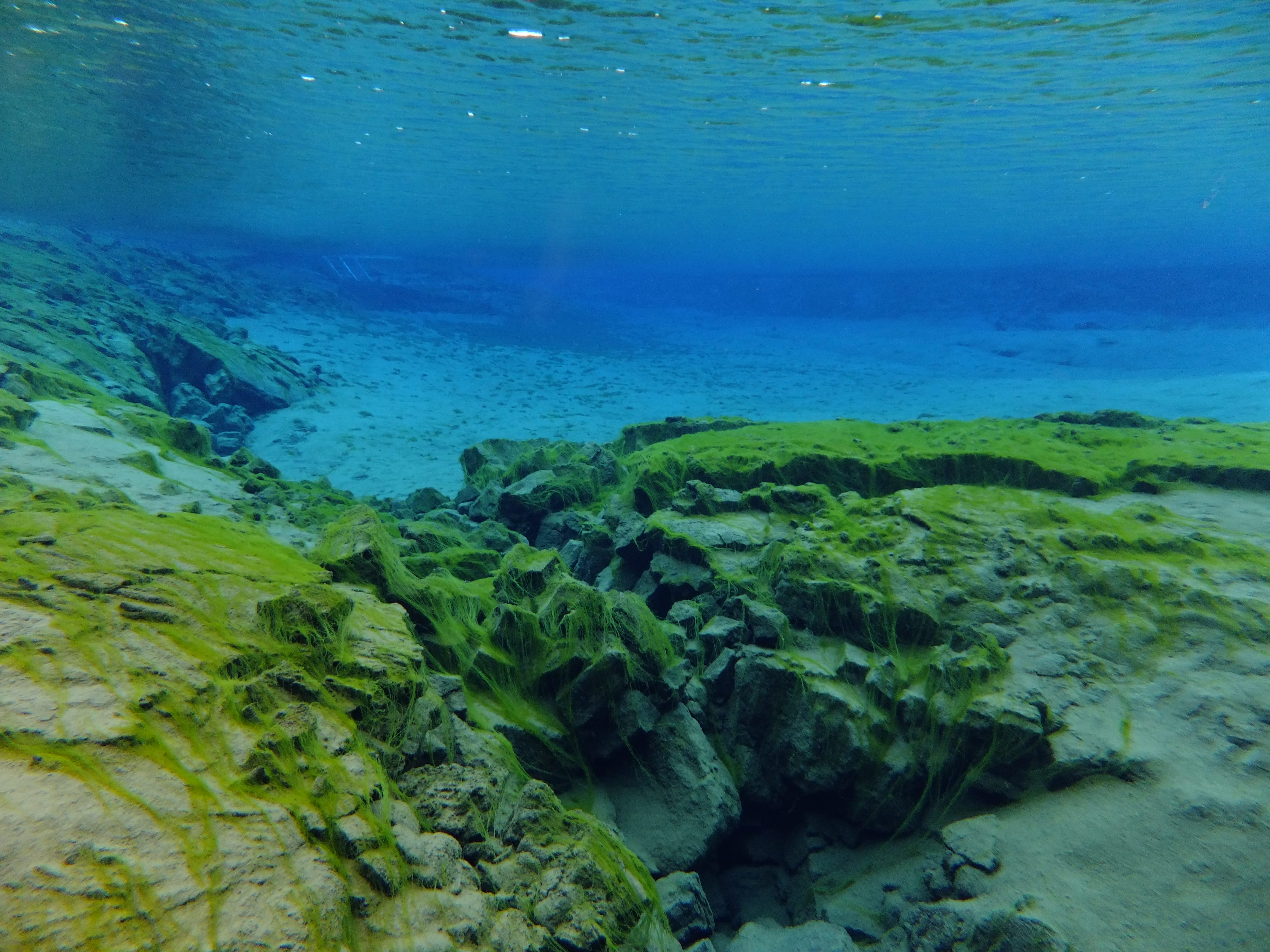 Silfra – Dive 2
