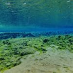 Silfra – Dive 2