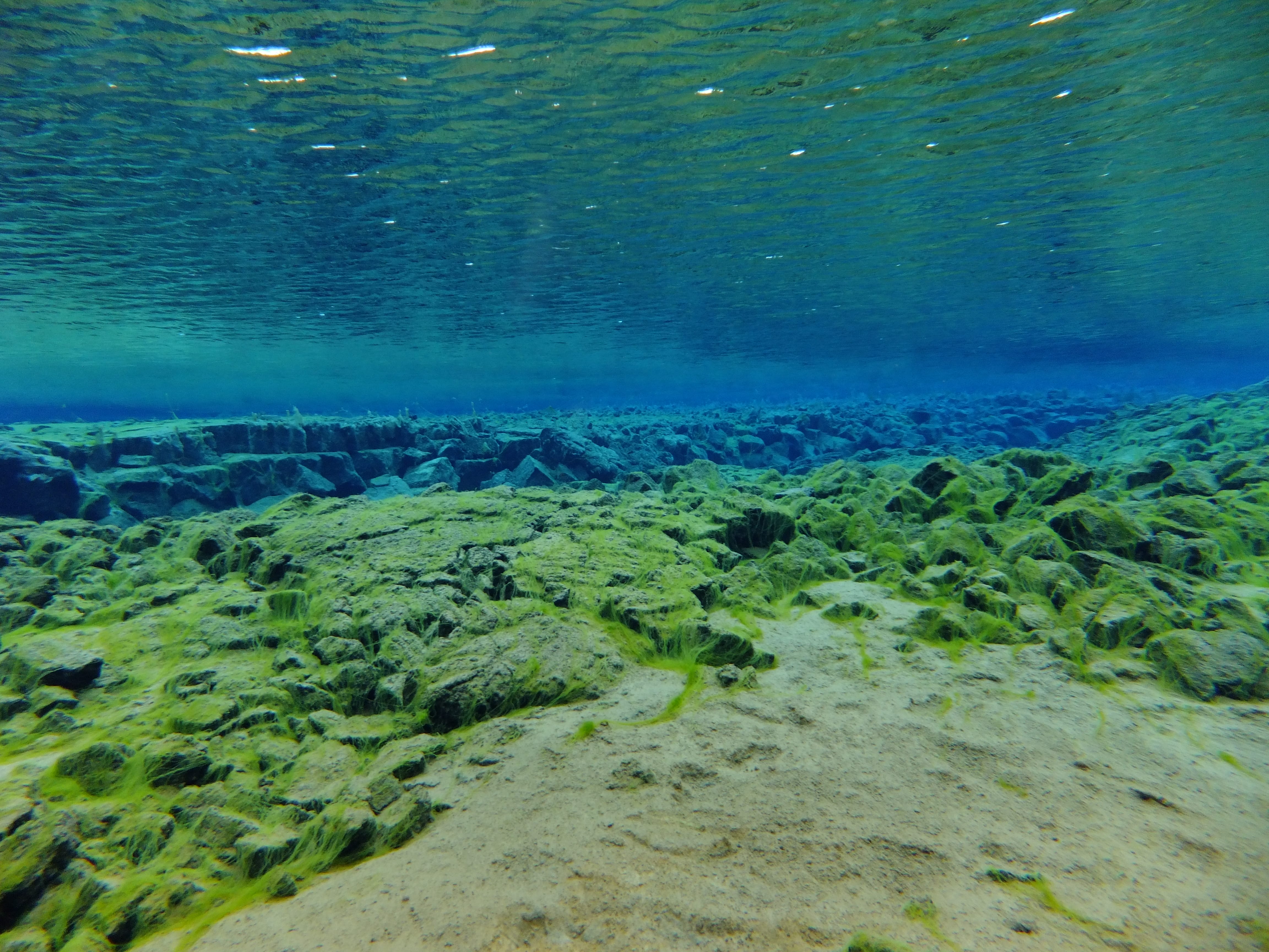 Silfra – Dive 2
