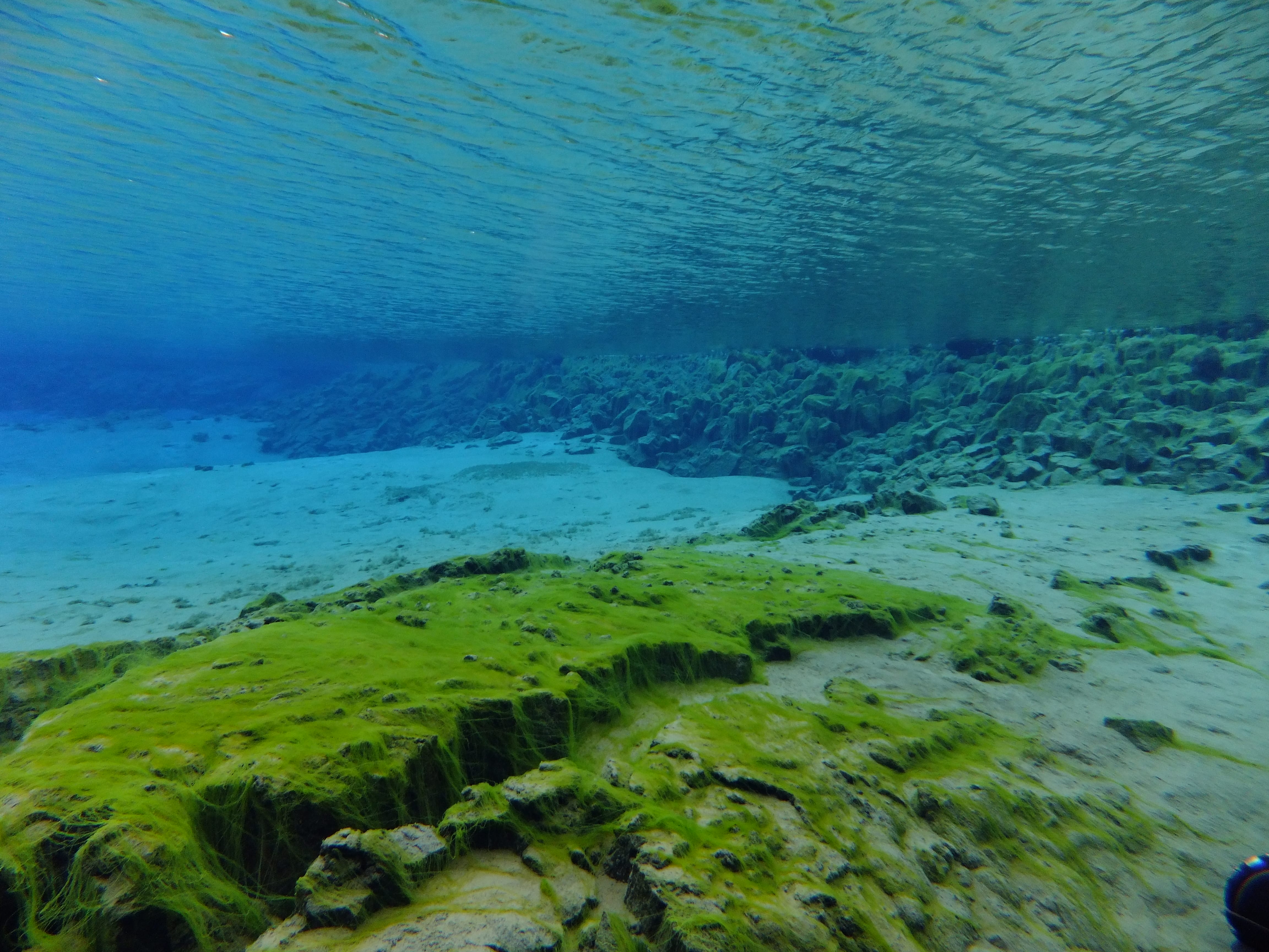 Silfra – Dive 2