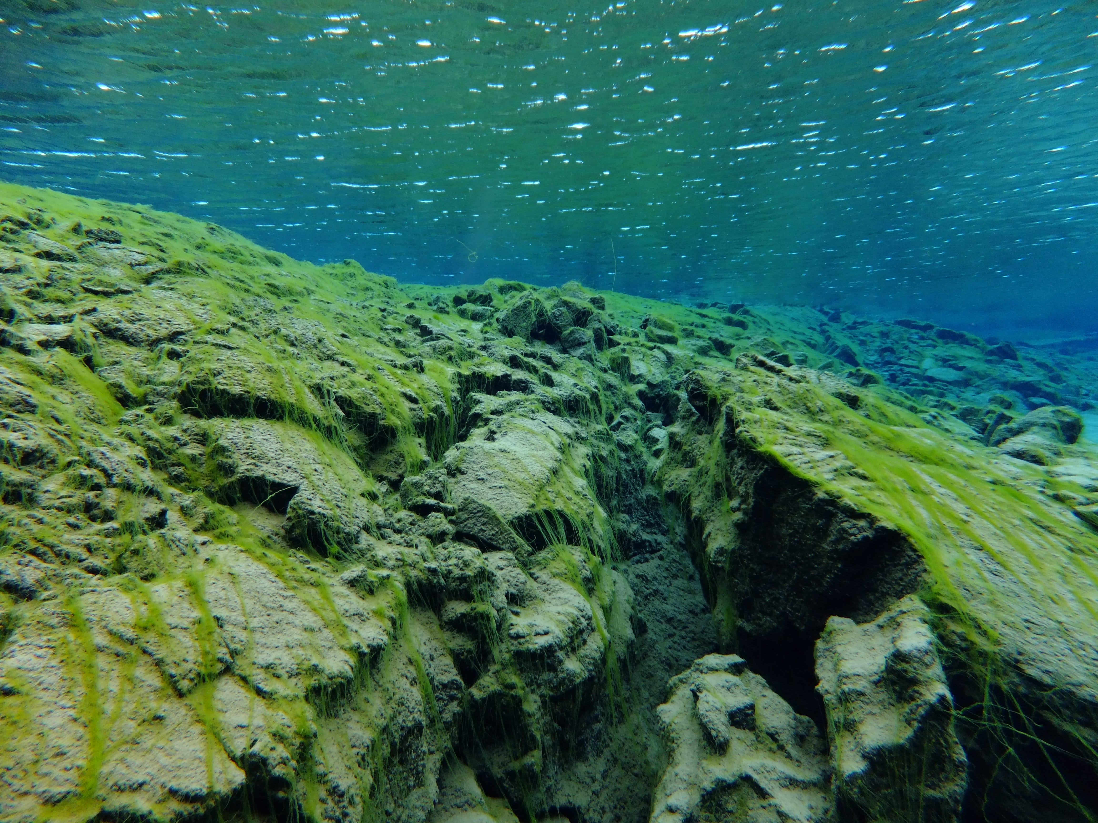 Silfra – Dive 2