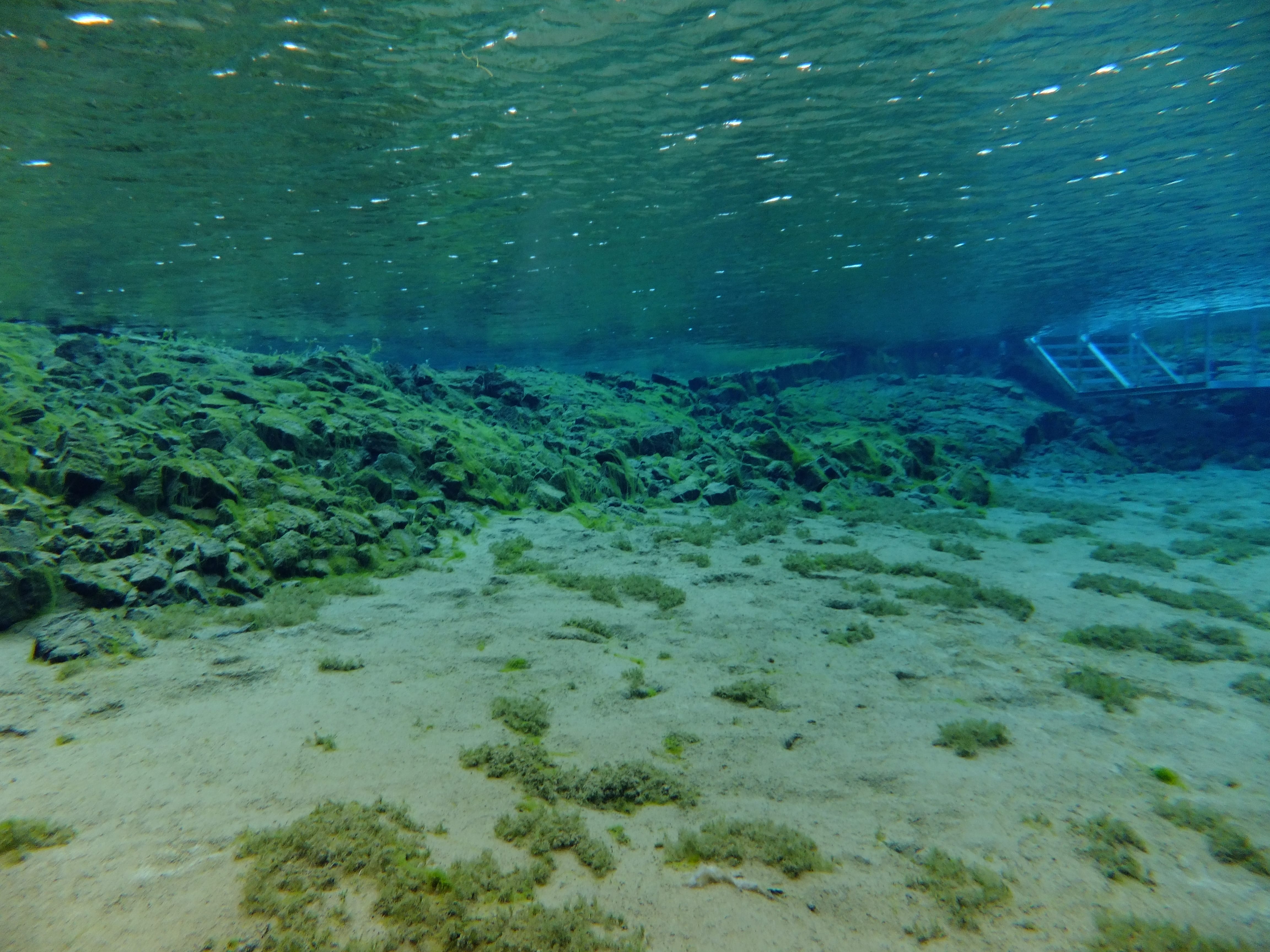 Silfra – Dive 2