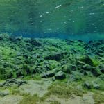 Silfra – Dive 2