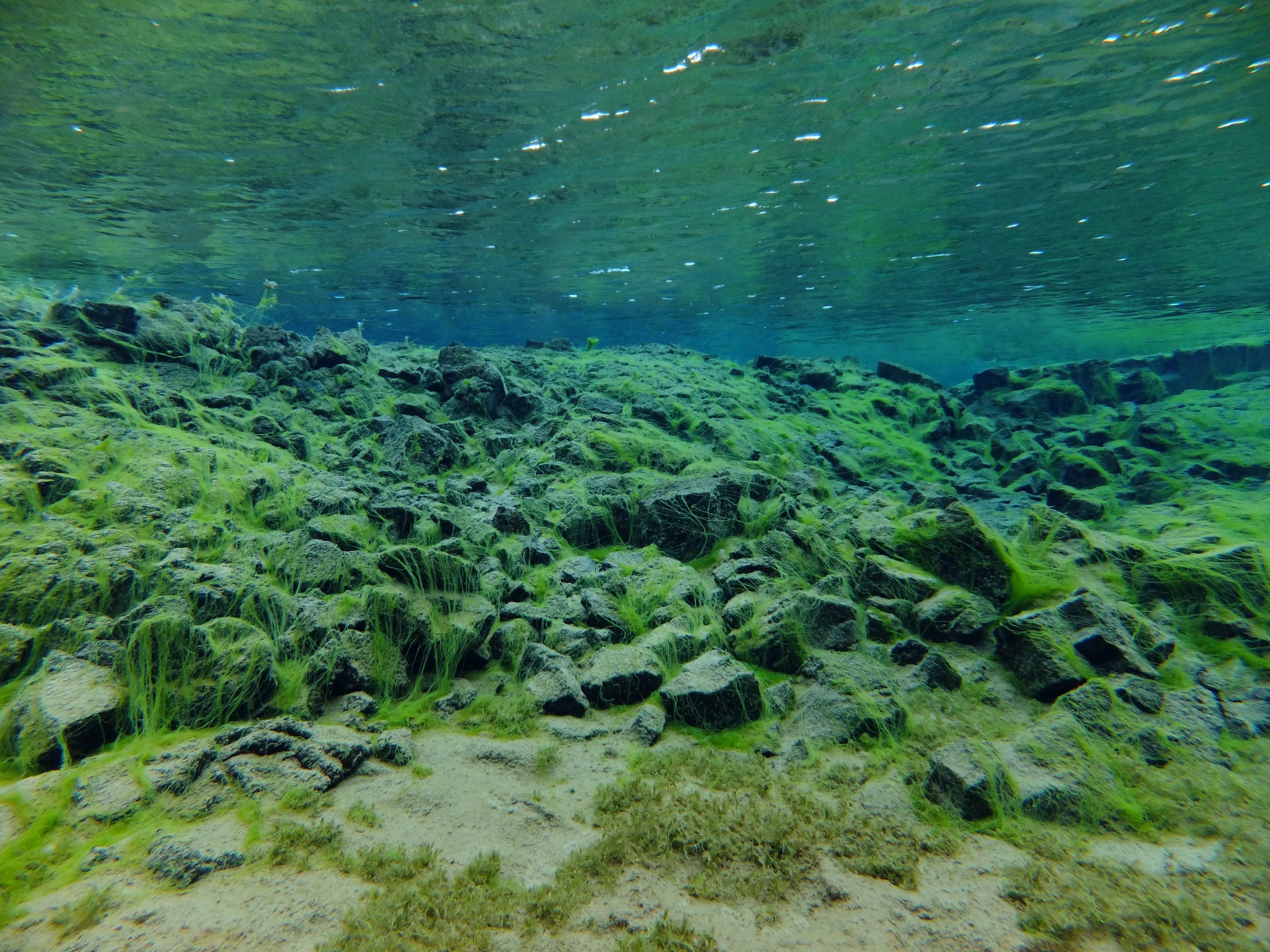 Silfra – Dive 2