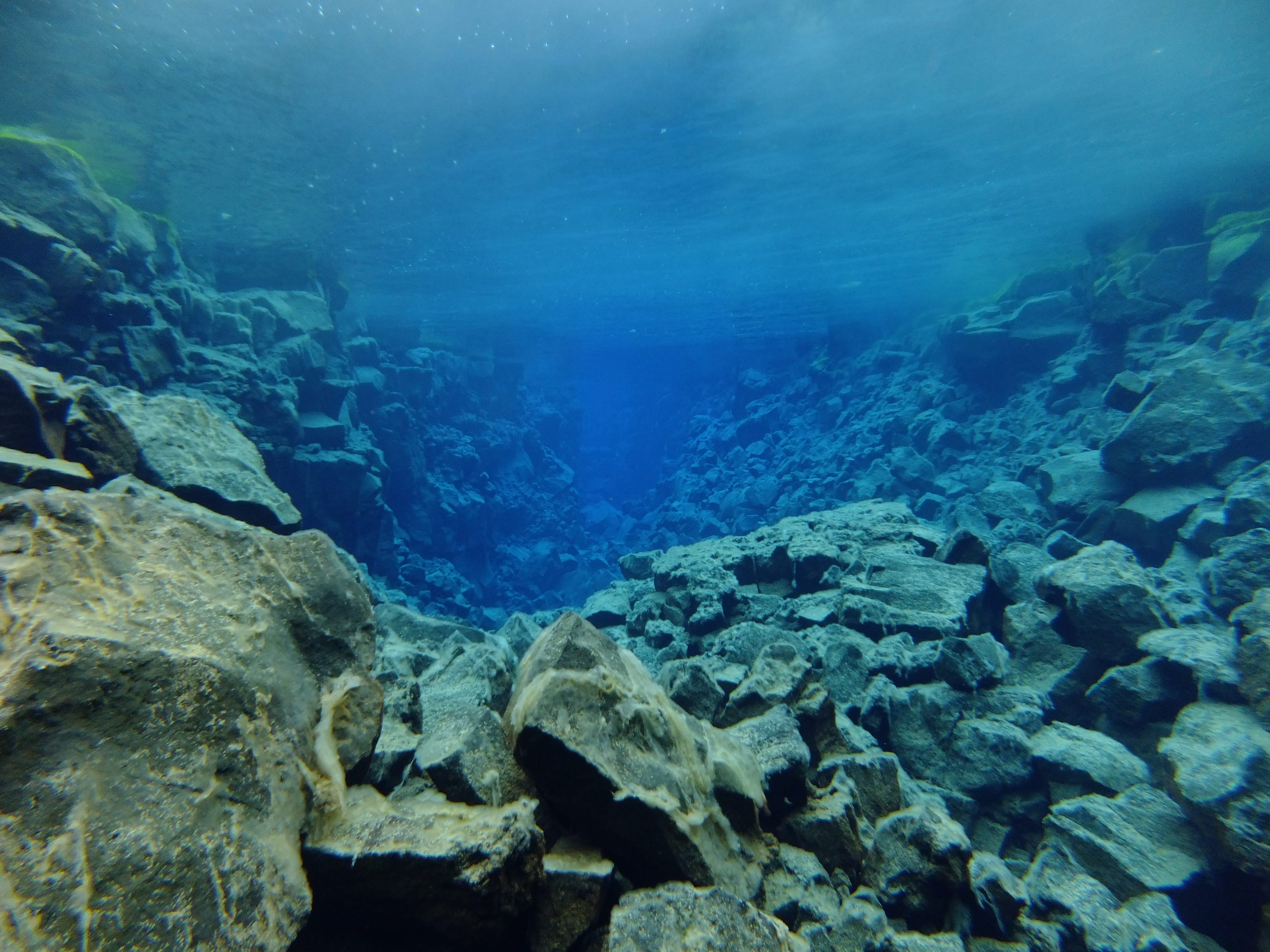Hallvik - Diving