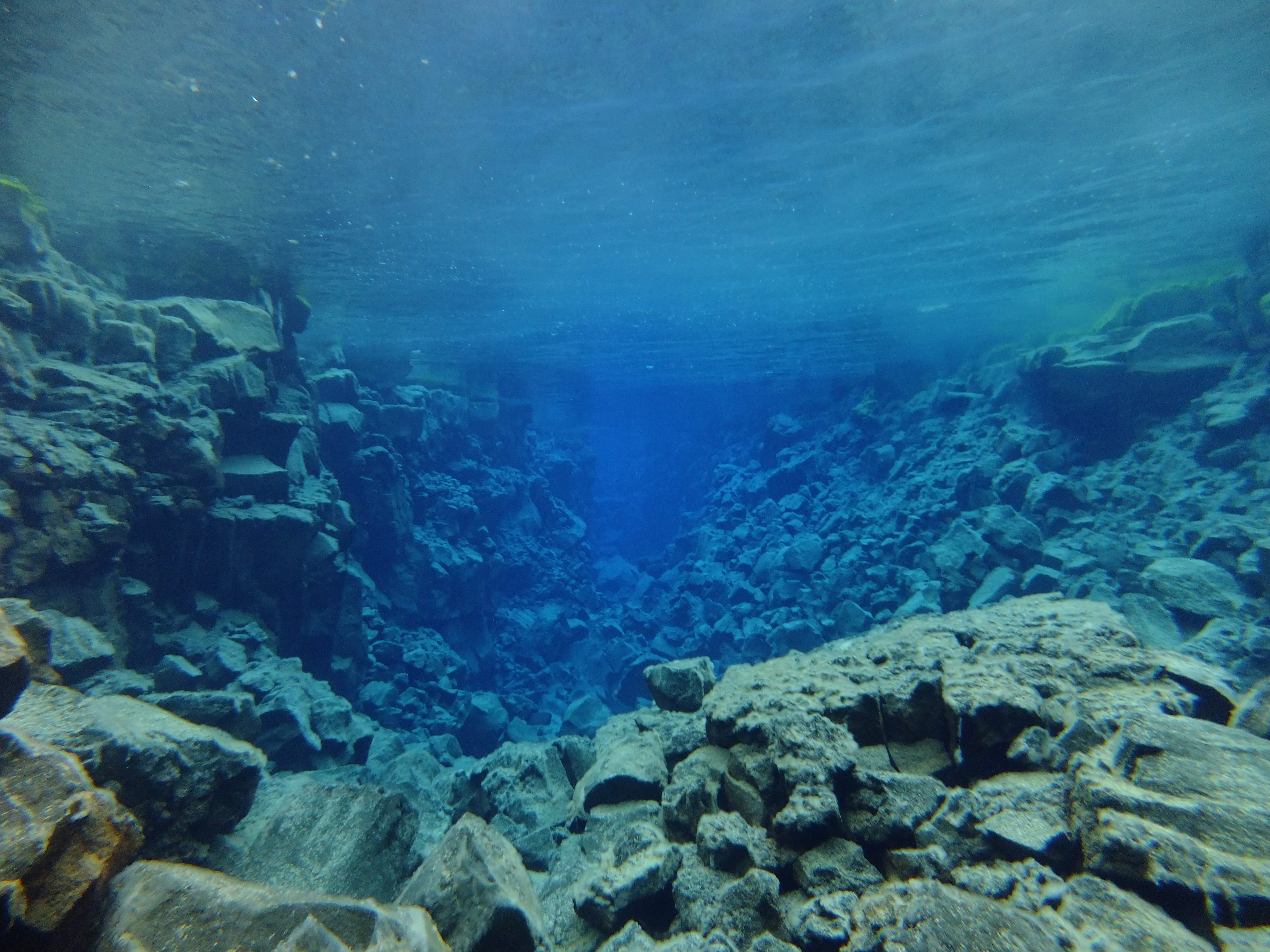 Hallvik - Diving
